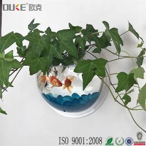 Tường Treo Bể chứa Acrylic Acrylic giá rẻ trong suốt